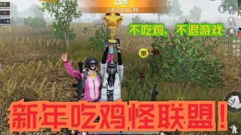 春节吃鸡爆料视频下载,年度美食盛宴幕后花絮大曝光